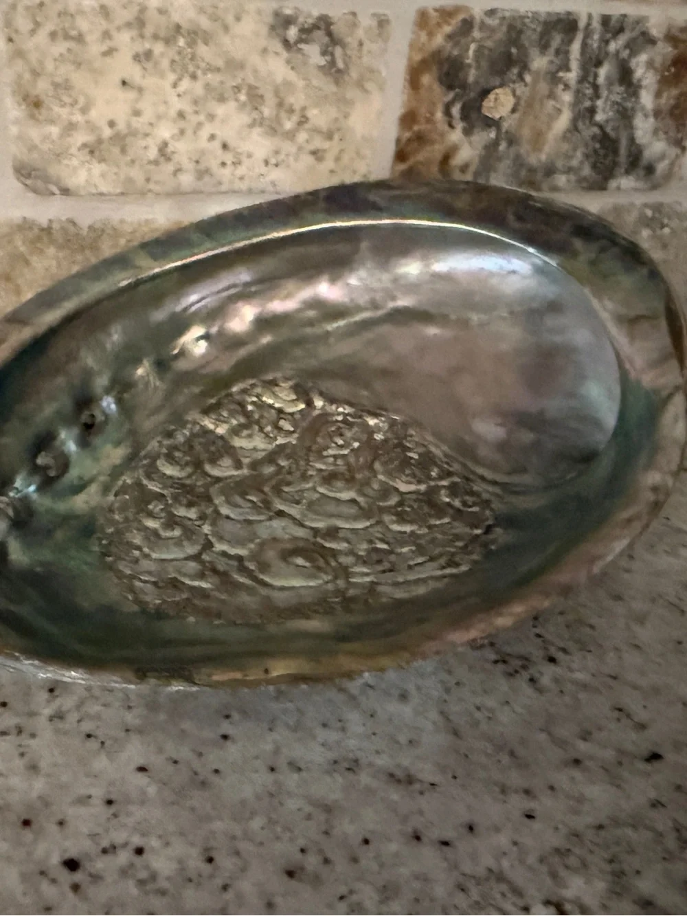 Large Iridescent Abalone Shell Bowl